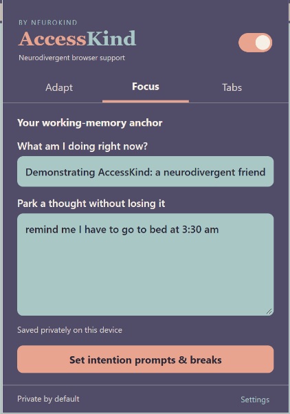AccessKind Focus panel with intention and Park a Thought fields